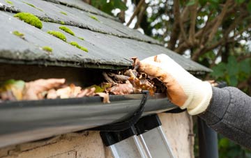 gutter cleaning Smallbrook